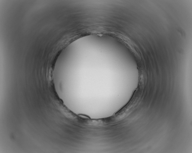 X0000110740525200906151106