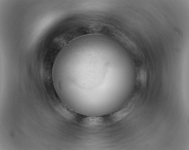 X0000110740526200906151106