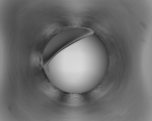 X0000110740528200906151106
