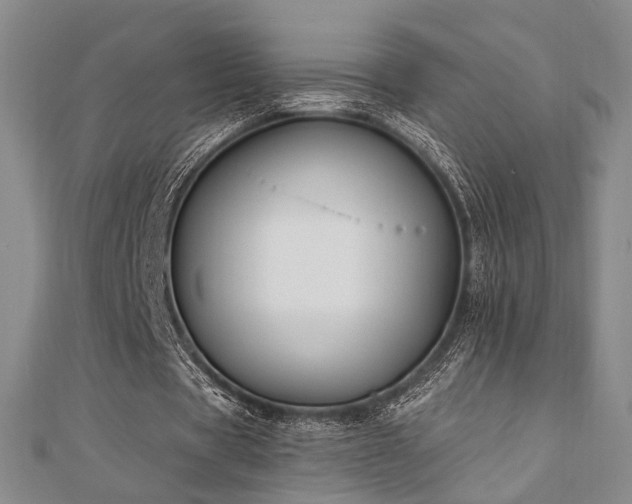 X0000110740529200906151105