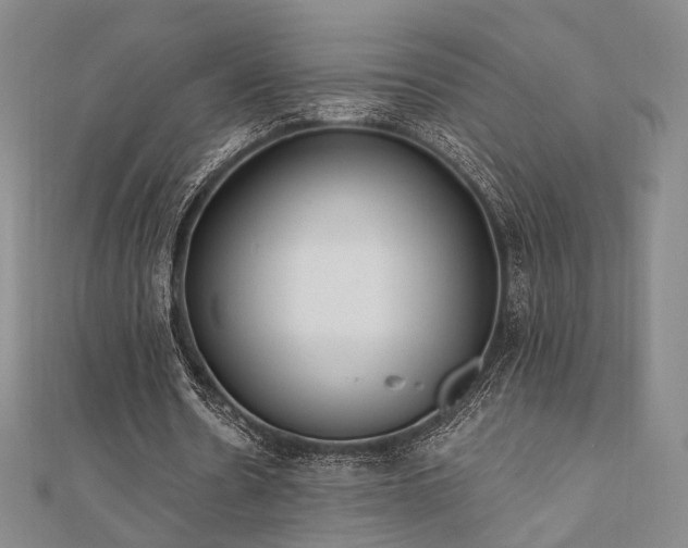 X0000110740530200906151105