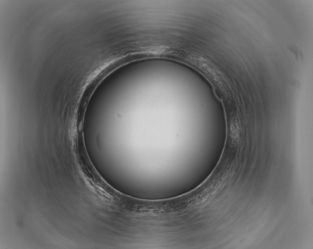 X0000110740532200906151105