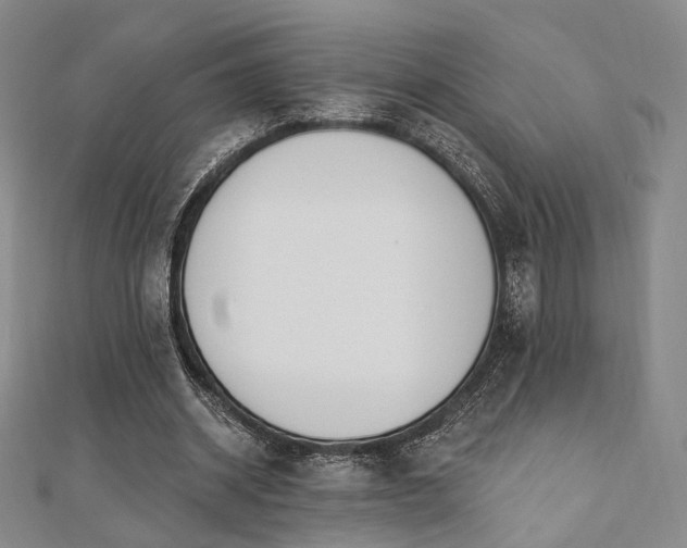 X0000110740534200906151105