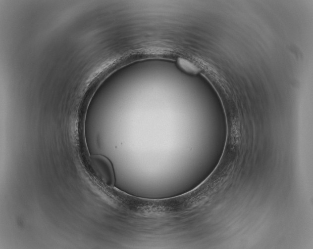 X0000110740535200906151105