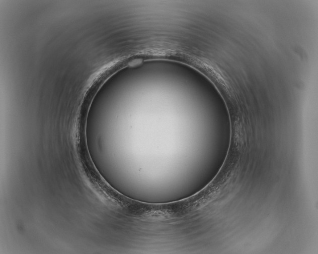 X0000110740536200906151105