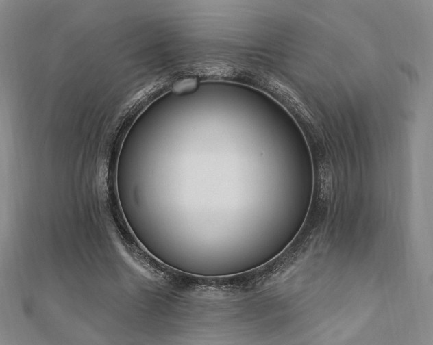 X0000110740538200906151105