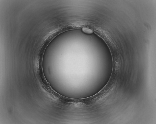 X0000110740539200906151105