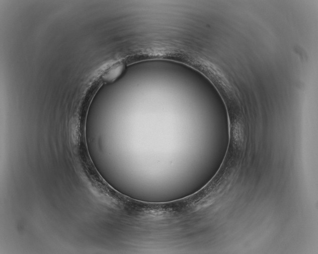 X0000110740540200906151105