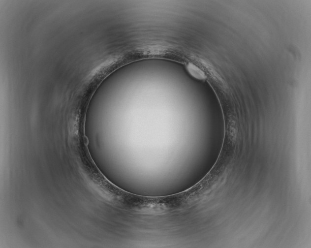 X0000110740543200906151105