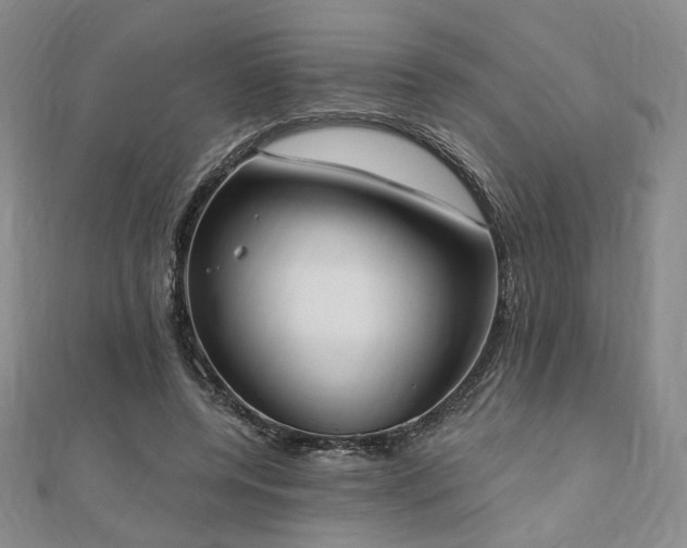 X0000110740544200906151105