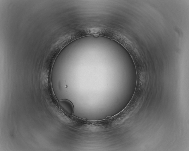 X0000110740545200906151105