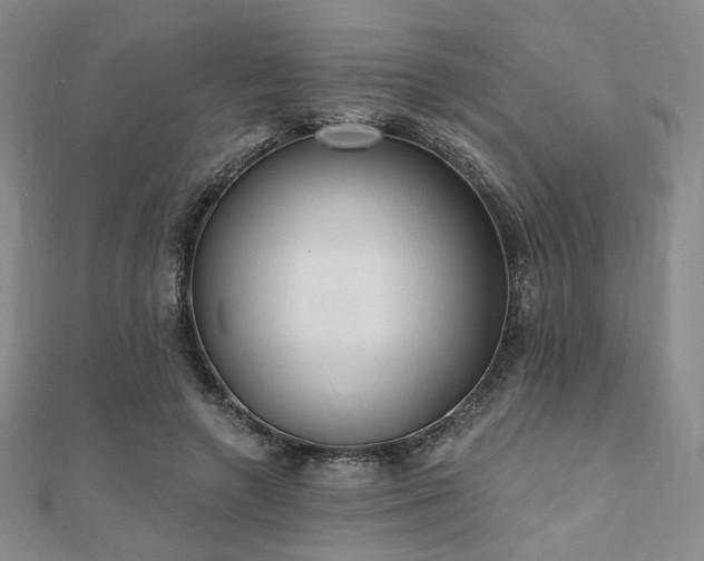 X0000110740546200906151105