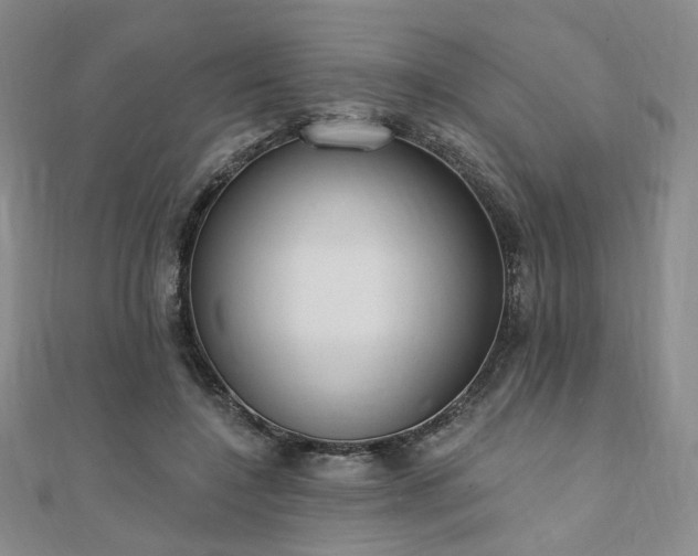 X0000110740548200906151105