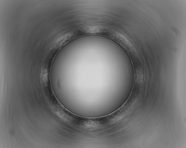 X0000110740549200906151105