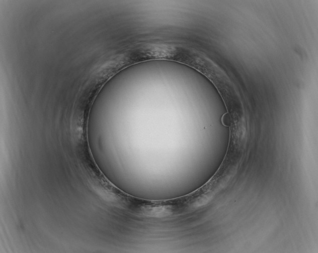 X0000110740553200906151105