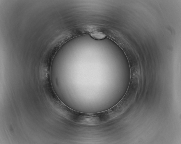 X0000110740555200906151105