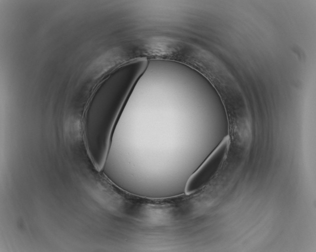 X0000110740556200906151105