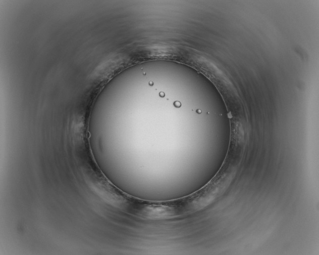 X0000110740557200906151105