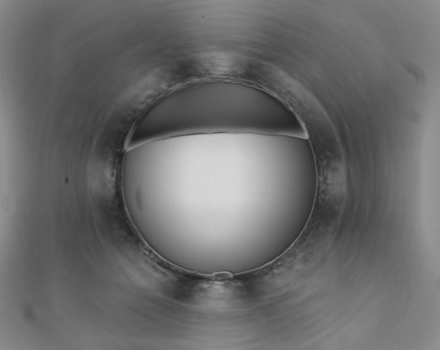 X0000110740558200906151106