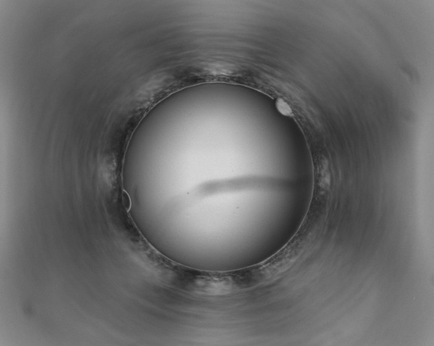 X0000110740559200906151106