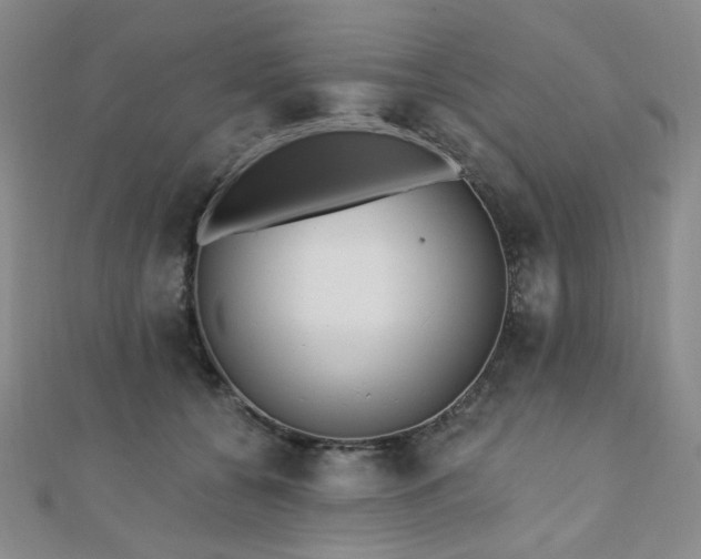 X0000110740560200906151106