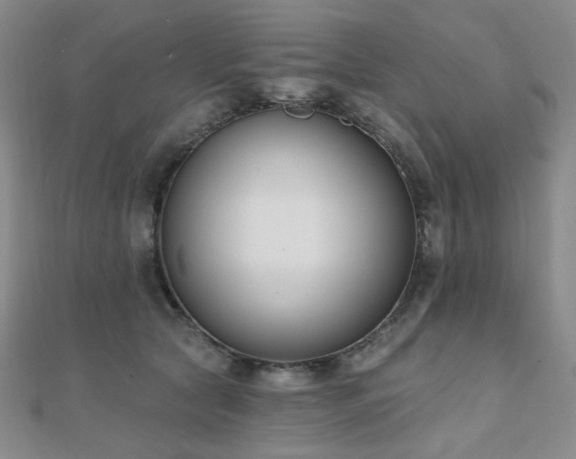 X0000110740561200906151106
