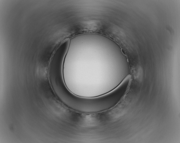 X0000110740564200906151106