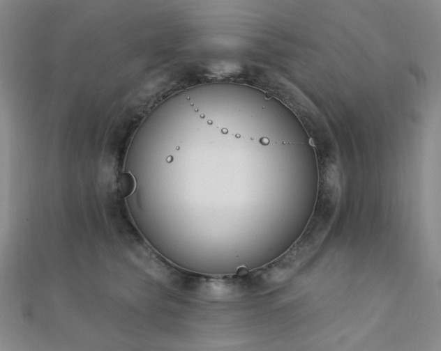 X0000110740565200906151106