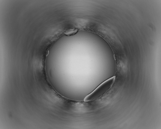 X0000110740566200906151106