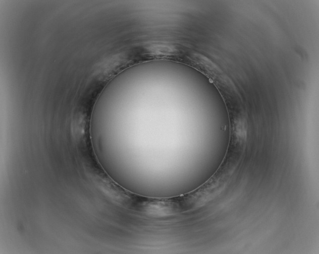 X0000110740567200906151106
