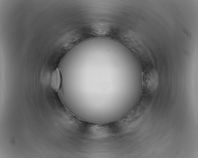 X0000110740568200906151106