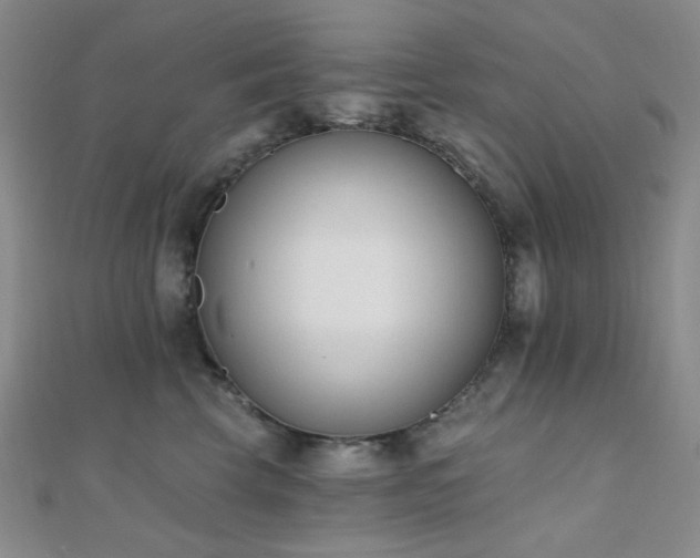 X0000110740569200906151106