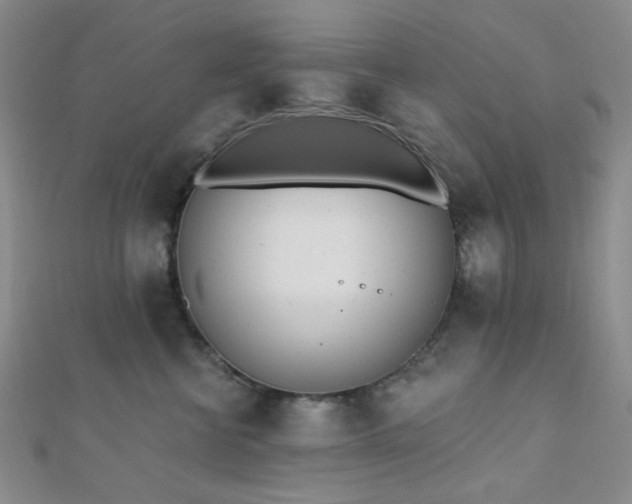 X0000110740570200906151106