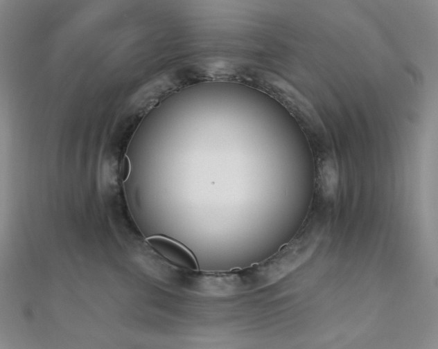 X0000110740571200906151106