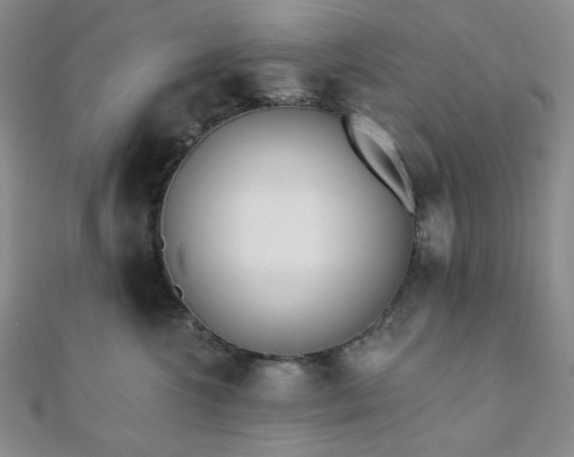 X0000110740572200906151106