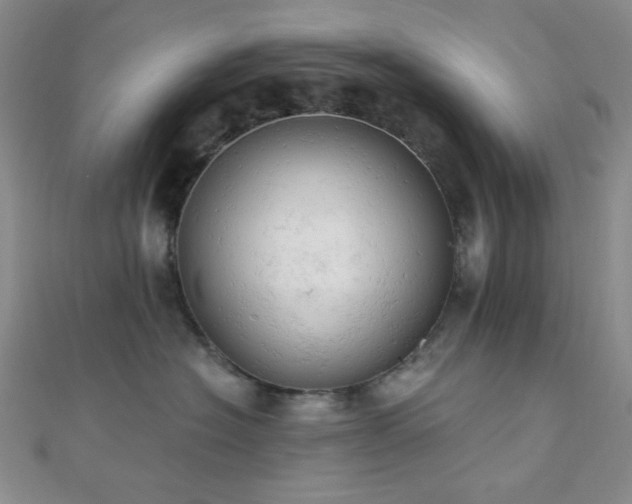 X0000110740574200906151106