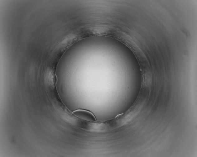 X0000110740575200906151106
