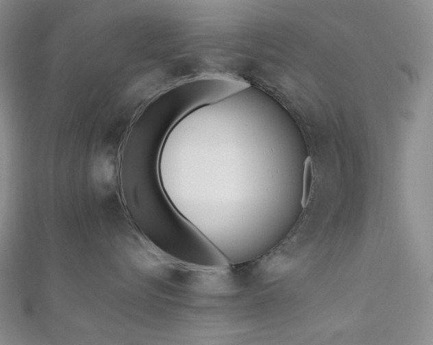X0000110740576200906151106