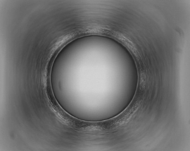 X0000110740578200906151105