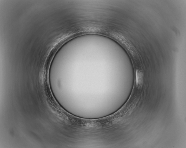 X0000110740579200906151105