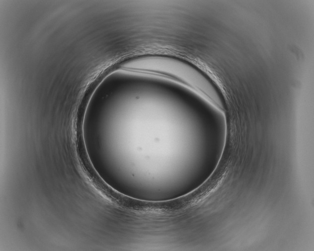 X0000110740581200906151105