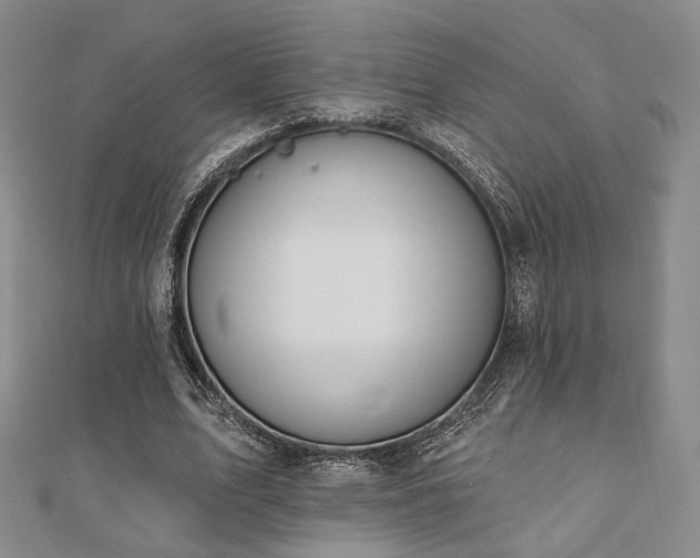 X0000110740583200906151105