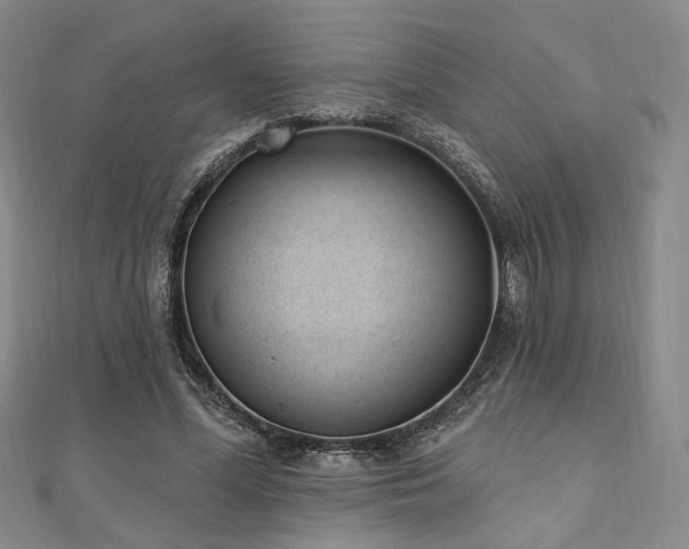 X0000110740588200906151105
