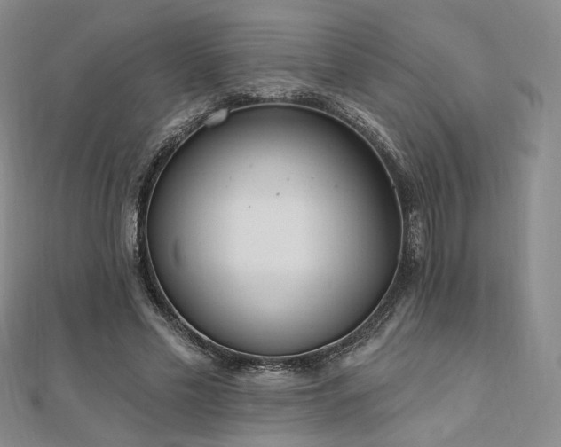 X0000110740589200906151105