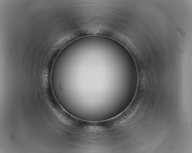 X0000110740590200906151105