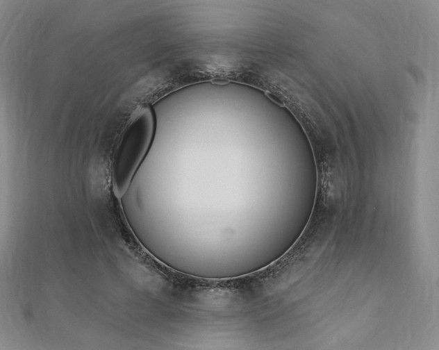 X0000110740593200906151105