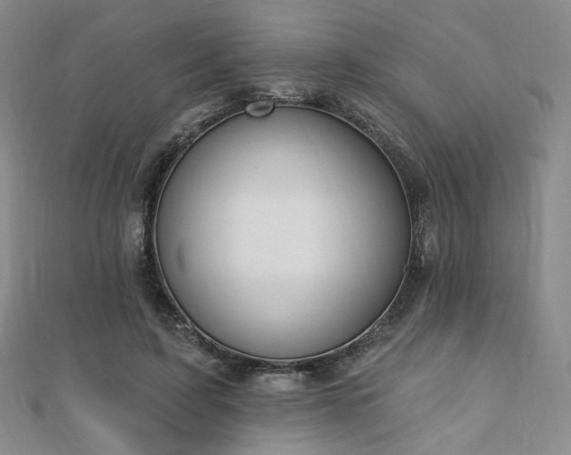 X0000110740595200906151105