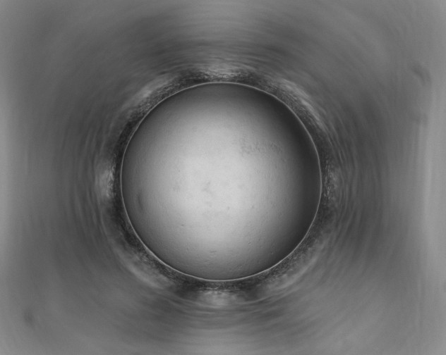 X0000110740596200906151105