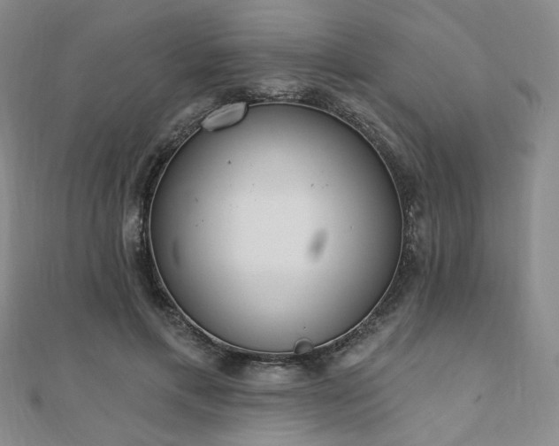 X0000110740597200906151105