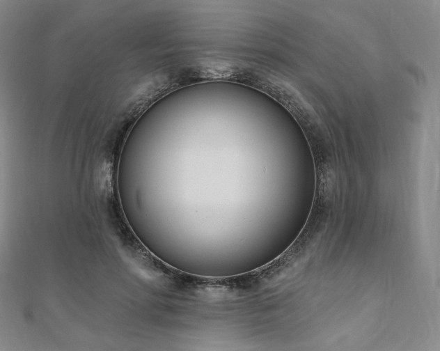 X0000110740598200906151105